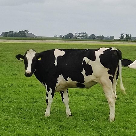 In Het Mooie Friesland Vele Bezienswaardigheden Hantum エクステリア 写真