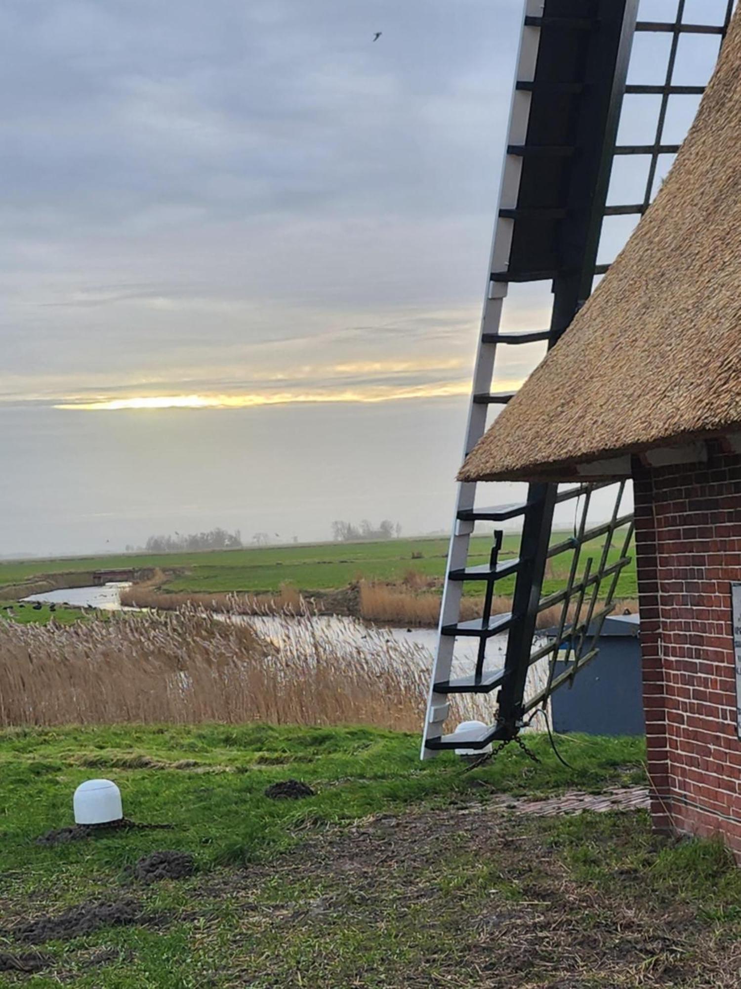 In Het Mooie Friesland Vele Bezienswaardigheden Hantum エクステリア 写真