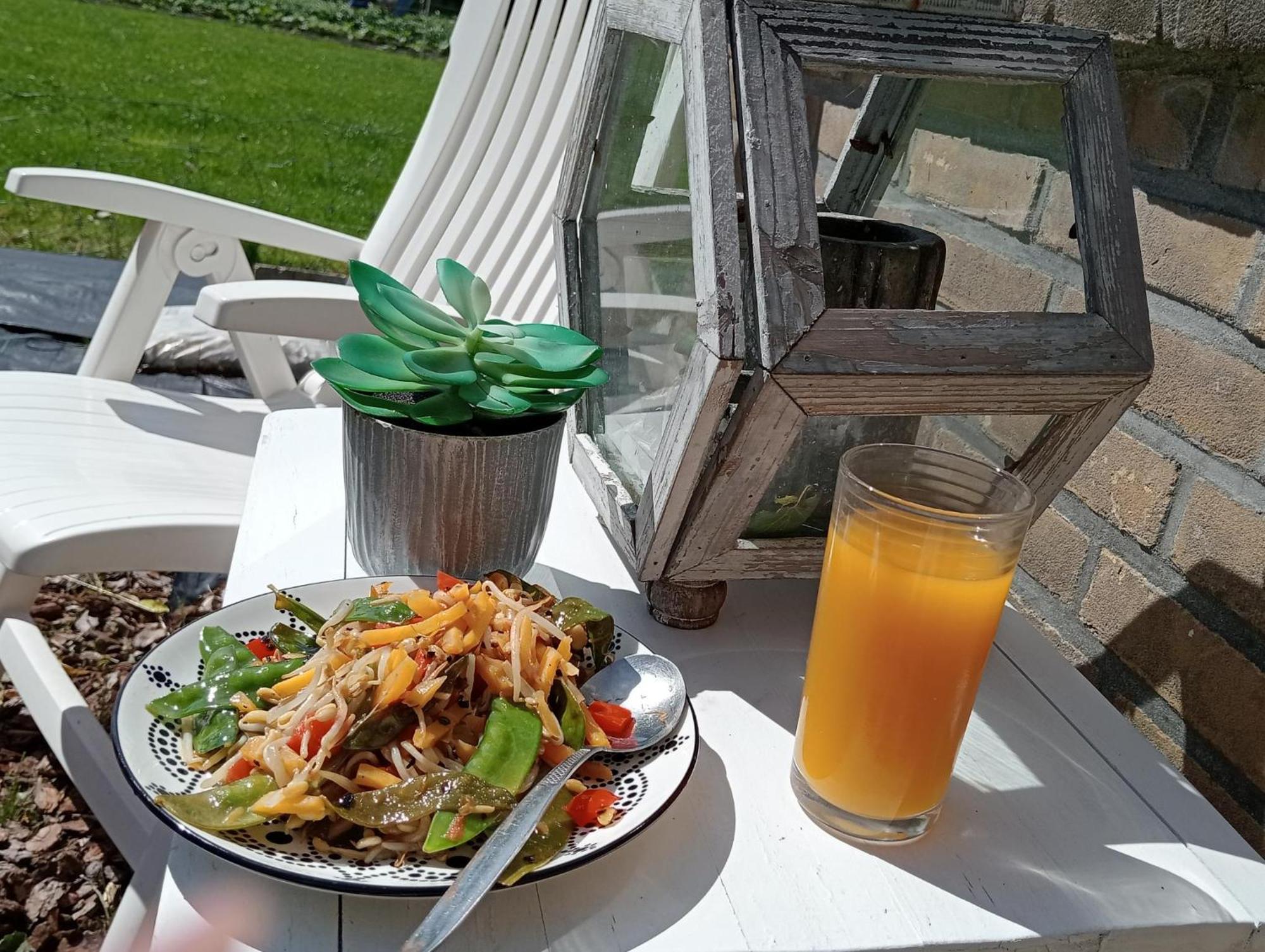In Het Mooie Friesland Vele Bezienswaardigheden Hantum エクステリア 写真